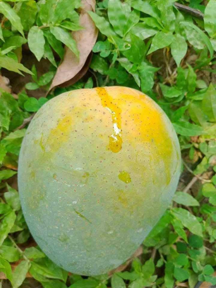 WhatsApp Image 2025-05-03 at 23.46.15_9f5778e6