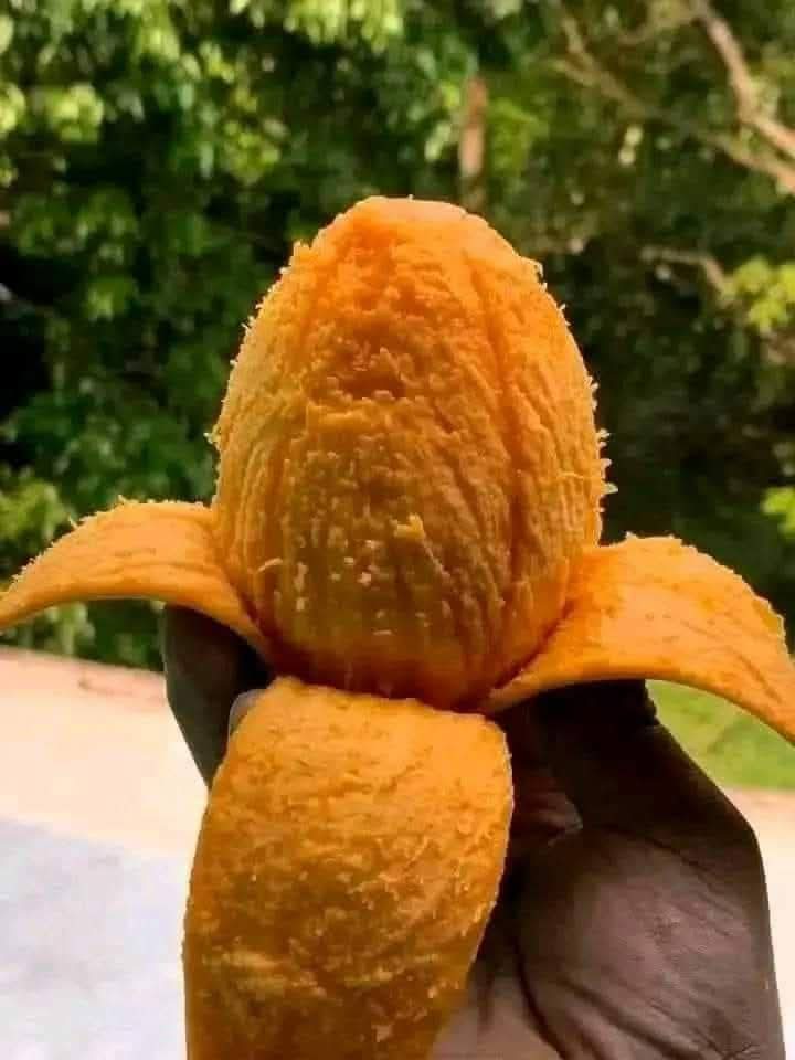 WhatsApp Image 2025-05-03 at 23.46.59_658c74b3